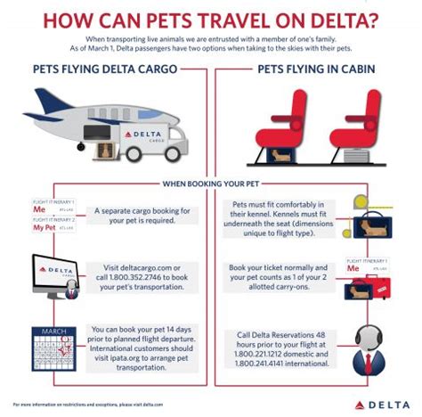 delta airlines pet cargo