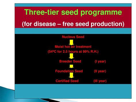 deltech seed program