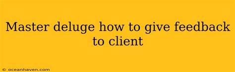 deluge how to give feedback to client