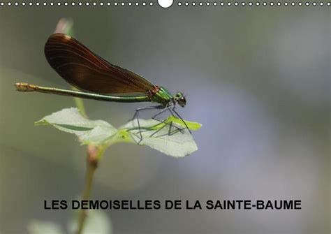 demoiselles sainte baume 2016 clapotis calvendo Kindle Editon