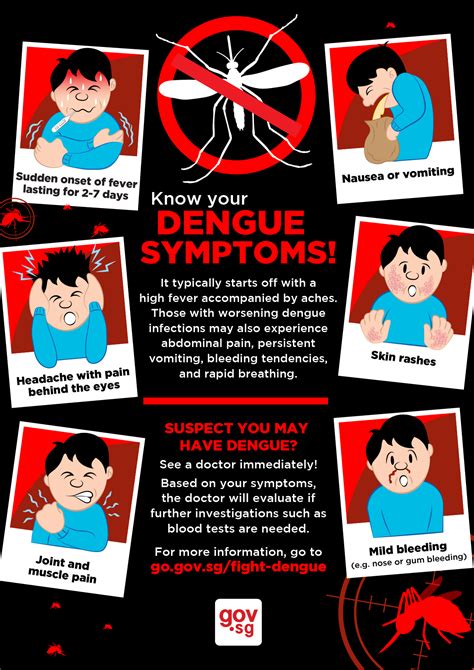 dengue symptoms sg