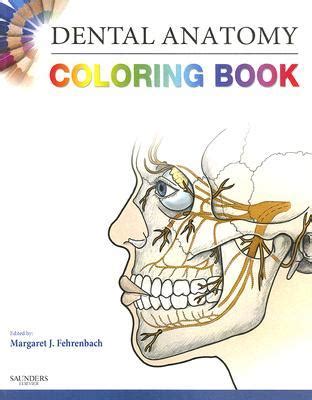 dental anatomy coloring book dental anatomy coloring book Epub