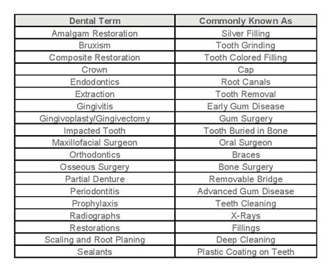 dental terminology dental terminology PDF