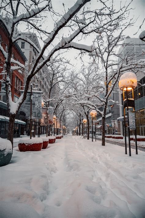 denver in the winter