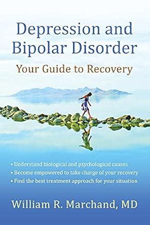 depression and bipolar disorder your guide to recovery PDF