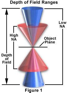 depth of field microscope