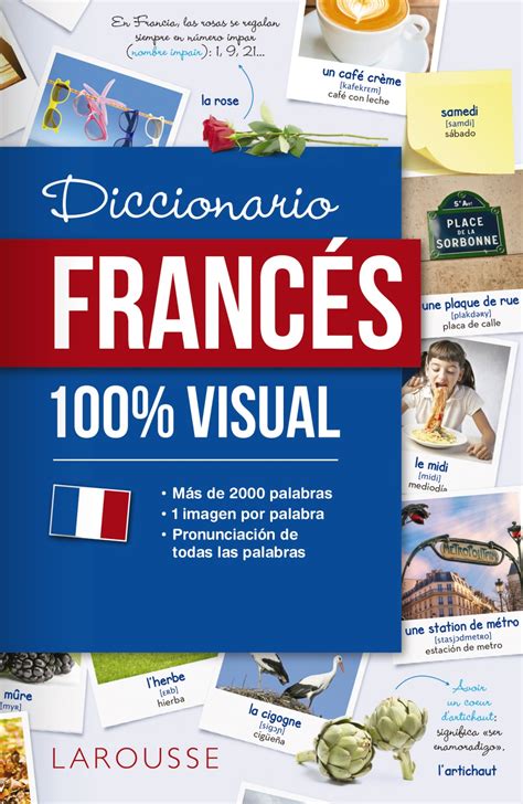 descargar diccionario frances espanol larousse pdf Epub