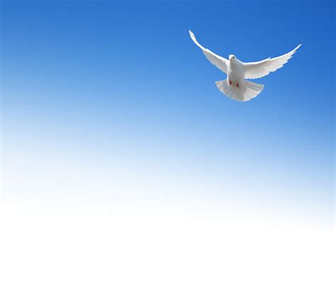 descending like a dove the truth about the holy spirit PDF