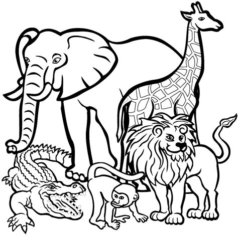 desenho de animais para colorir