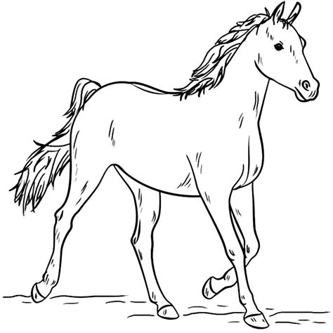 desenho de um cavalo para colorir