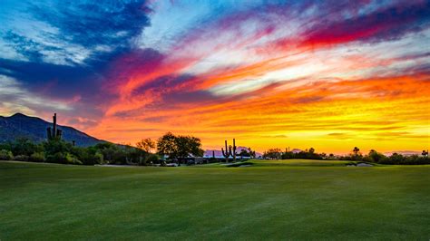 desert forest golf club