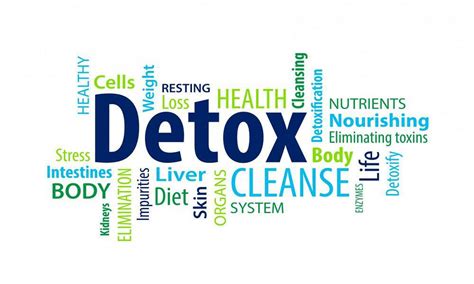 detox the process of cleansing and restoration PDF