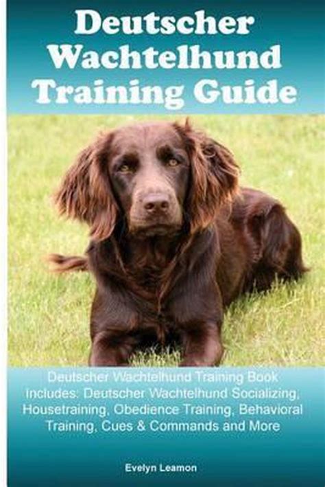 deutscher wachtelhund training guide book Doc