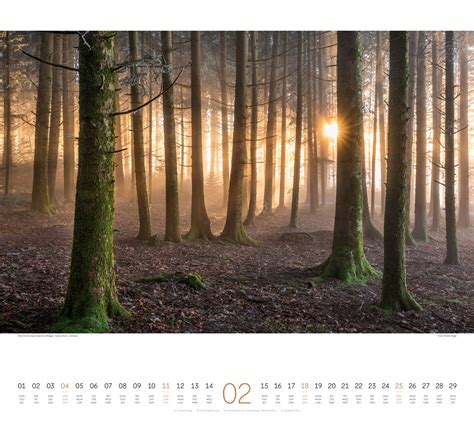 deutscher wald 2016 landschaftskalender naturkalender PDF