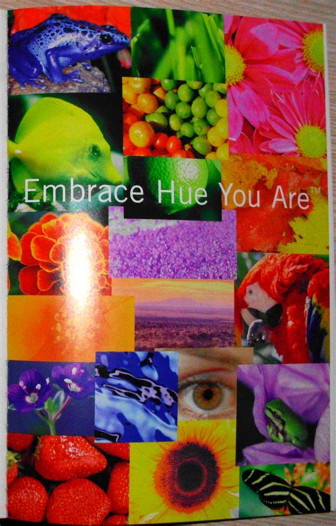 dewey color system embrace hue you are Doc