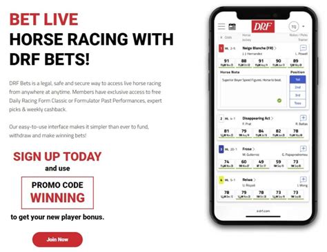 dfrf bets