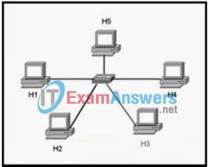 dhomesb chapter 3 answers Kindle Editon