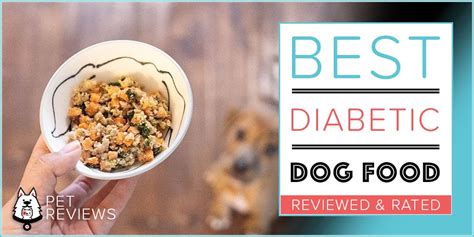 diabetic dog food