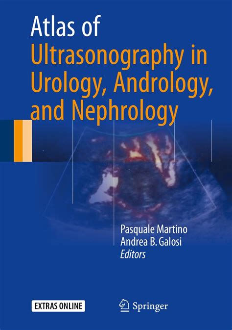 diagnostic ultrasound in urology and nephrology Ebook Kindle Editon