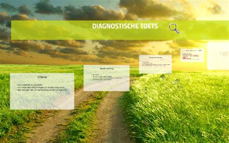 diagnostische toets ecomo Reader