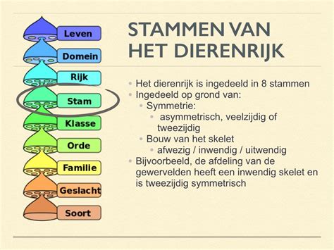 diagnostische toets ordening en evolutie Doc