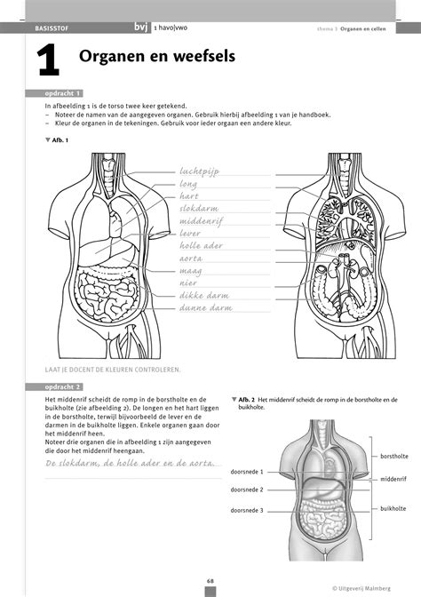 diagnostische toets organen en cellen PDF