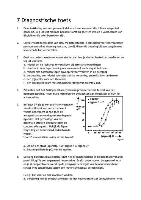 diagnostische toets tweetaligheid cito PDF