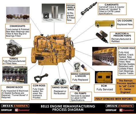 diagram of a caterpillar Kindle Editon