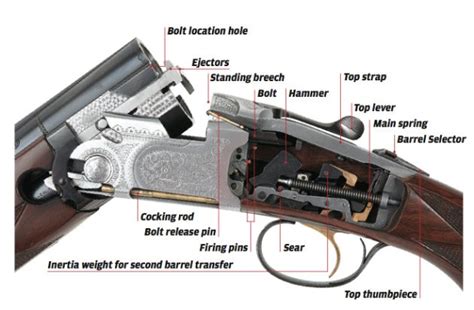 diagram of a double barrel shotgun pdf Epub