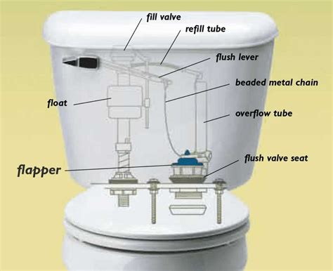 diagram of flush valve Kindle Editon