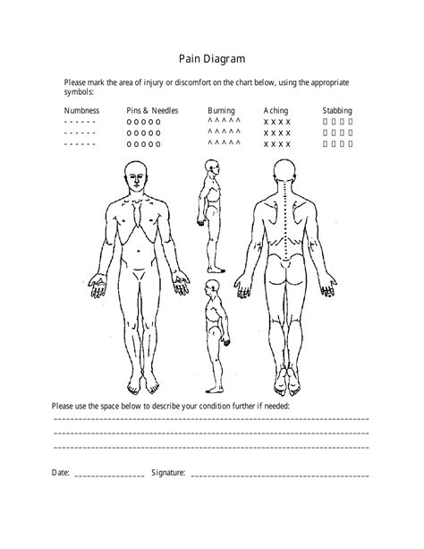 diagram-of-human-body-to-show-pain Ebook Kindle Editon