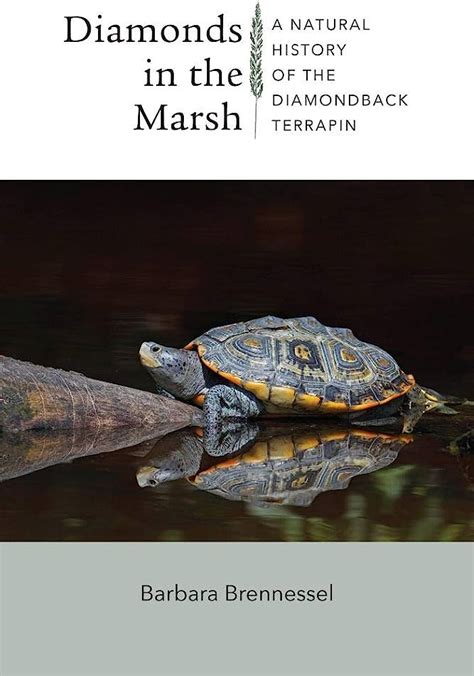 diamonds in the marsh a natural history of the diamondback terrapin PDF