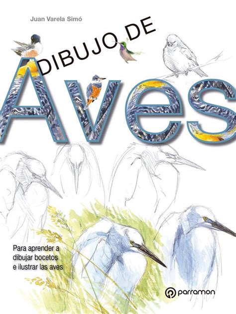 dibujo de aves aula de dibujo profesional Epub