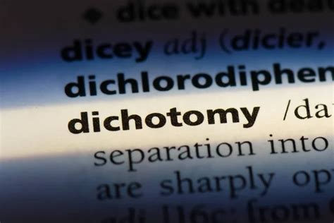 dictionary dichotomy Kindle Editon