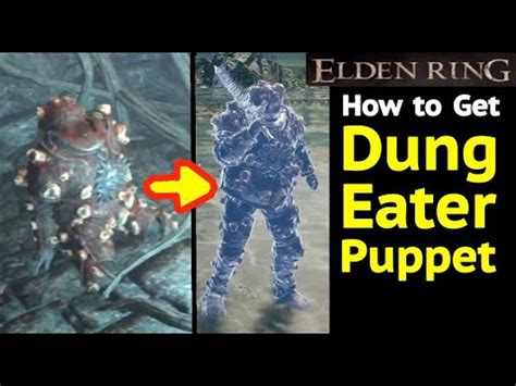 didn't get dung eater puppet