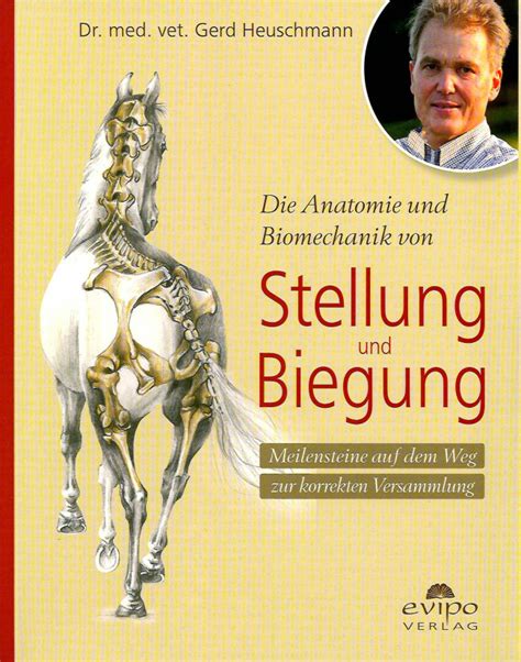 die anatomie biomechanik stellung biegung Doc