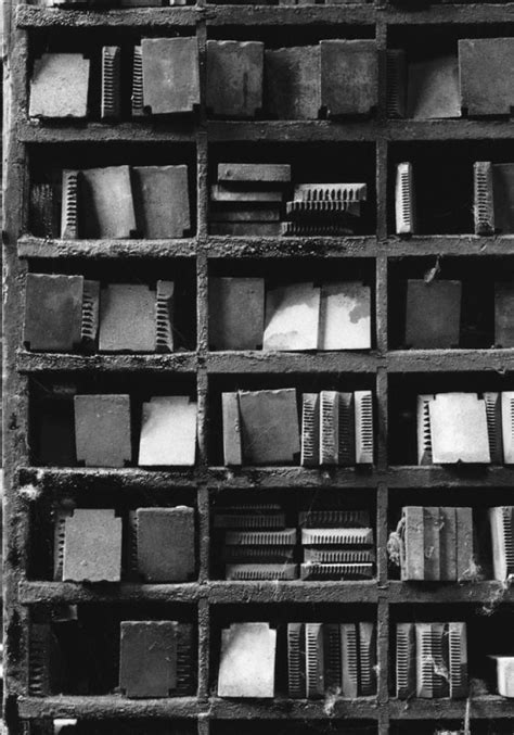 die last perfect library PDF