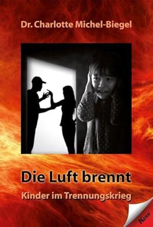 die luft brennt kinder trennungskrieg ebook PDF