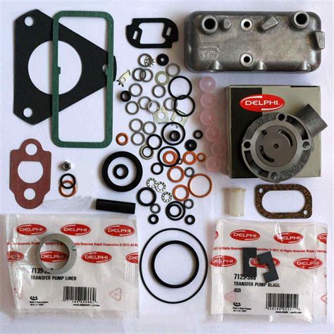 diesel injection pump repair kit Epub