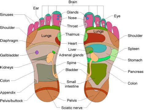 difference between thai foot massage and reflexology