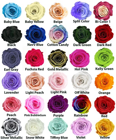 different color roses