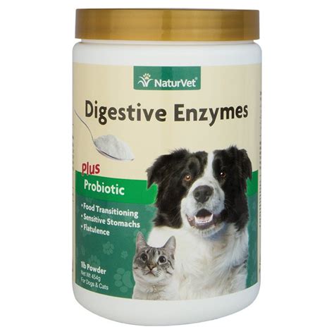 digesstive enzymes for dogs