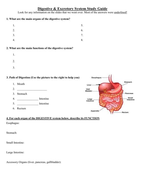 digestive and excretory system study guide answers Kindle Editon