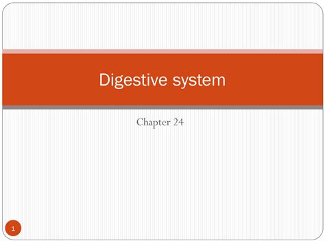 digestive system chapter 24 Reader