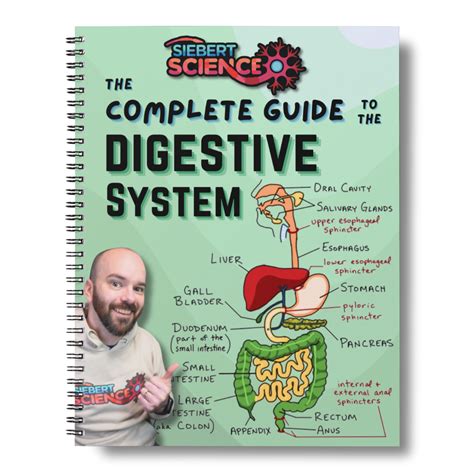 digestive system mp3408 answers Ebook PDF