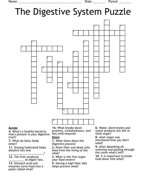 digestive system square puzzle answer key PDF