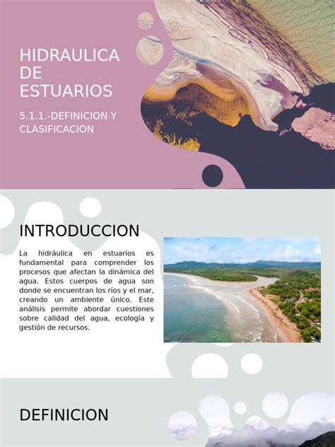 dinamica estuarios pdf Epub