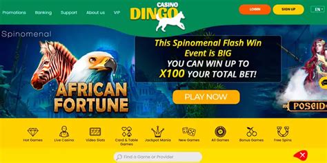 dingo casino