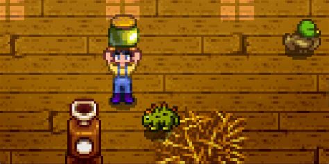 dino mayo stardew