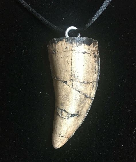 dino tooth necklace